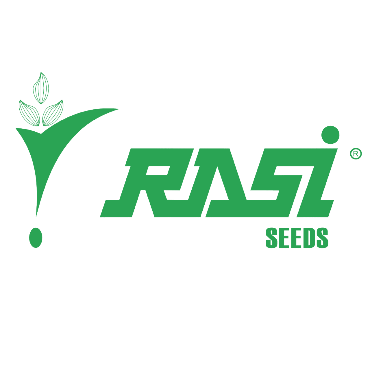 Rasi Seeds